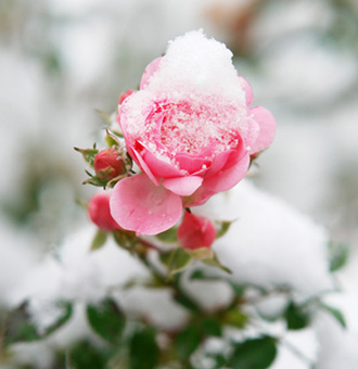 Villa Anna - Bella Bavaria